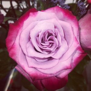 Meet your Posher, Joanna